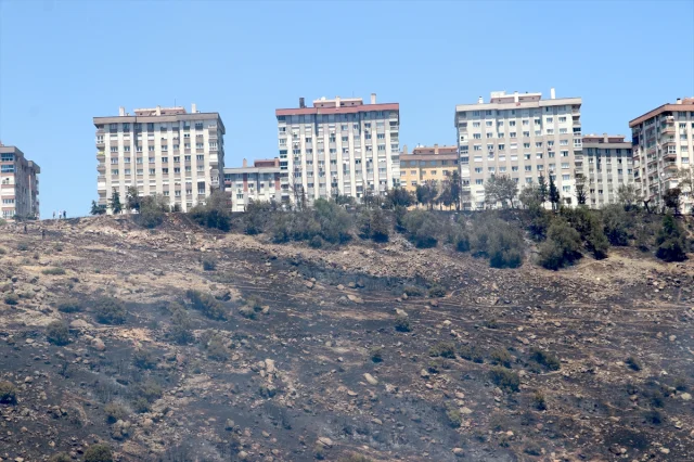 İzmir'de İki İlçede Otluk Yangınları Tehlike Yarattı
