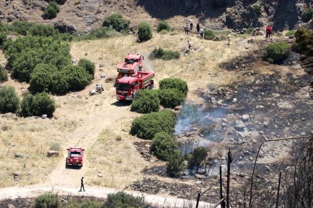 İzmir'de İki İlçede Otluk Yangınları Tehlike Yarattı