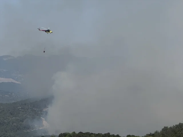 Manisa'nın Akhisar İlçesindeki Orman Yangını Kontrol Altına Alınmaya Çalışılıyor