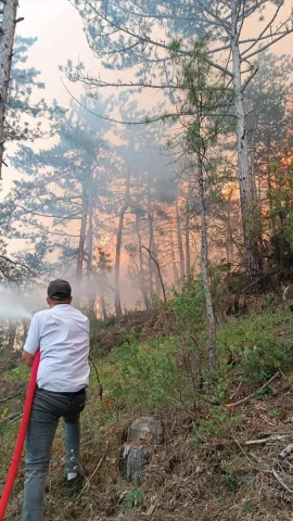 Bolu Göynük’te Orman Yangını ile Mücadele Yoğunlaştı