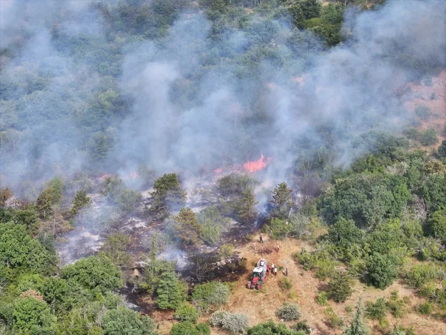 Edirne'deki Orman Yangınına Hızlı Müdahale Sürüyor