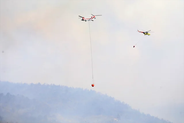 Manisa Akhisar'da Orman Yangını: Müdahale Çalışmaları Hız Kesmeden Devam Ediyor