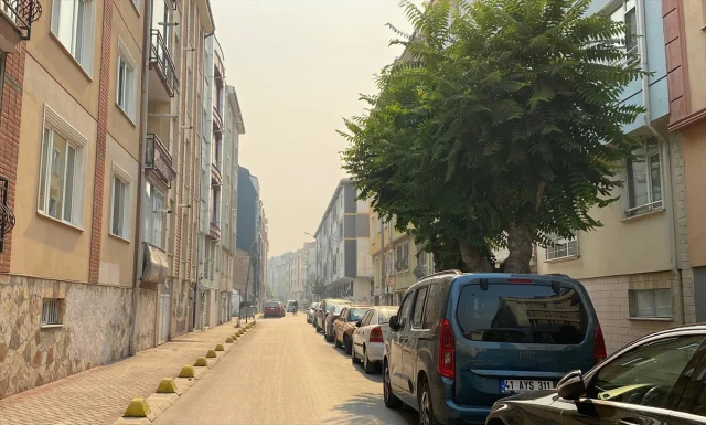 Bilecik'teki Orman Yangını Eskişehir'i Dumanla Kapladı