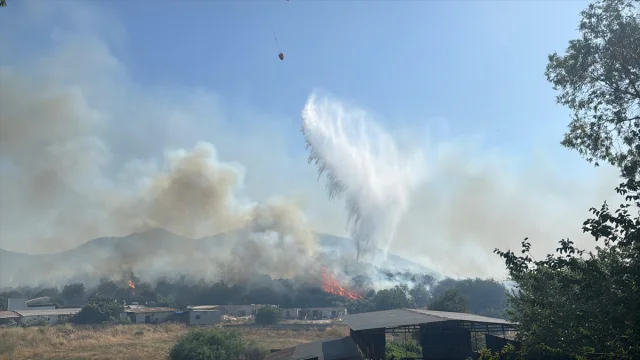 Bodrum'un Makilik Alanlarında Yangın Tehlikesi Devam Ediyor