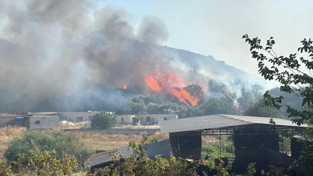Bodrum'un Makilik Alanlarında Yangın Tehlikesi Devam Ediyor