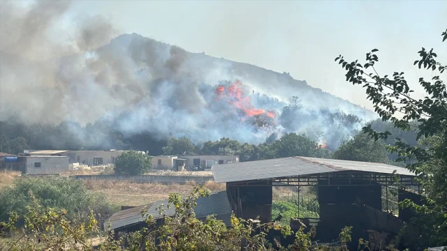 Bodrum'un Makilik Alanlarında Yangın Tehlikesi Devam Ediyor