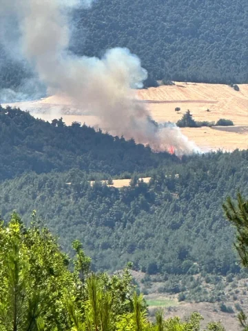 Bilecik Osmaneli'de Orman Yangını: Müdahale Çalışmaları Deva...