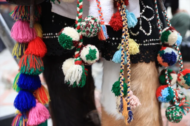 Edirne'de Renkli Anlar Uluslararası Balkan Folklor Festivali ile Canlandı