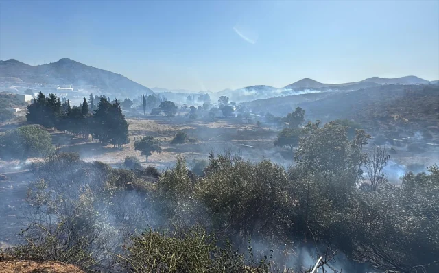 Bodrum'un Makilik Alanlarında Yangın Tehlikesi Devam Ediyor