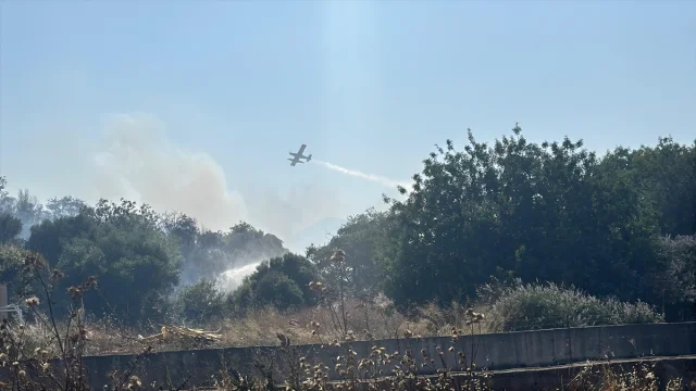 Bodrum'un Makilik Alanlarında Yangın Tehlikesi Devam Ediyor