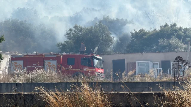 Bodrum'un Makilik Alanlarında Yangın Tehlikesi Devam Ediyor