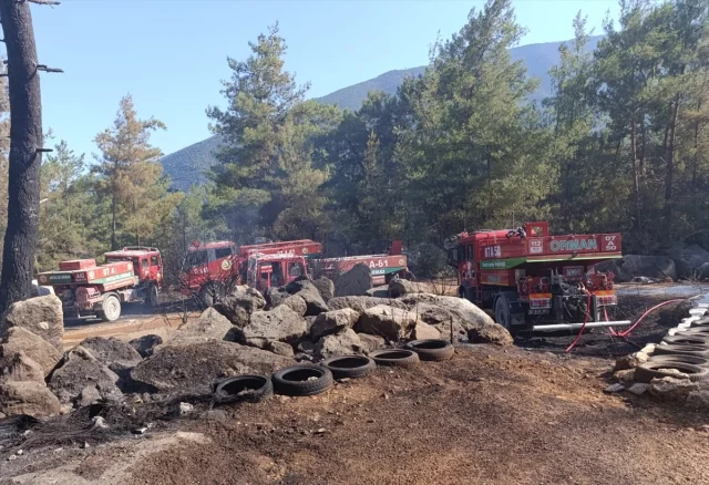Finike'de Orman Yangınına Hızlı Müdahale
