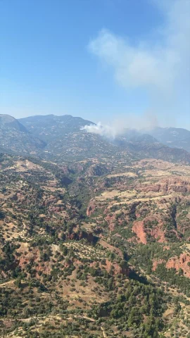 Aydın'da Çıkan Yangınlar Kontrol Altına Alınmaya Çalışılıyor