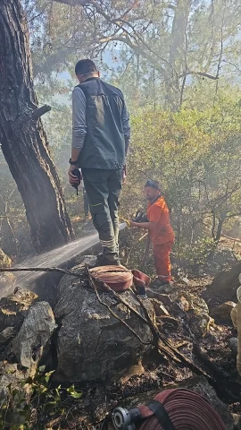 Finike'de Orman Yangınına Hızlı Müdahale