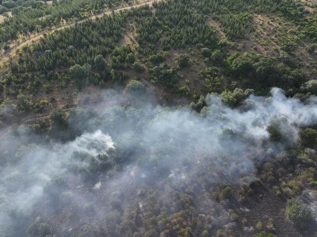 Edirne'nin Lalapaşa İlçesinde Orman Yangını Kontrol Altına Alındı