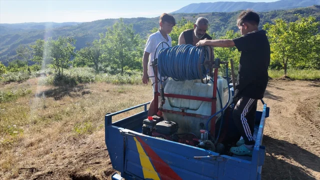 Düzce'de Anız Yangını Kontrol Altında