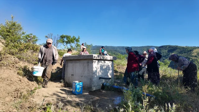 Düzce'de Anız Yangını Kontrol Altında
