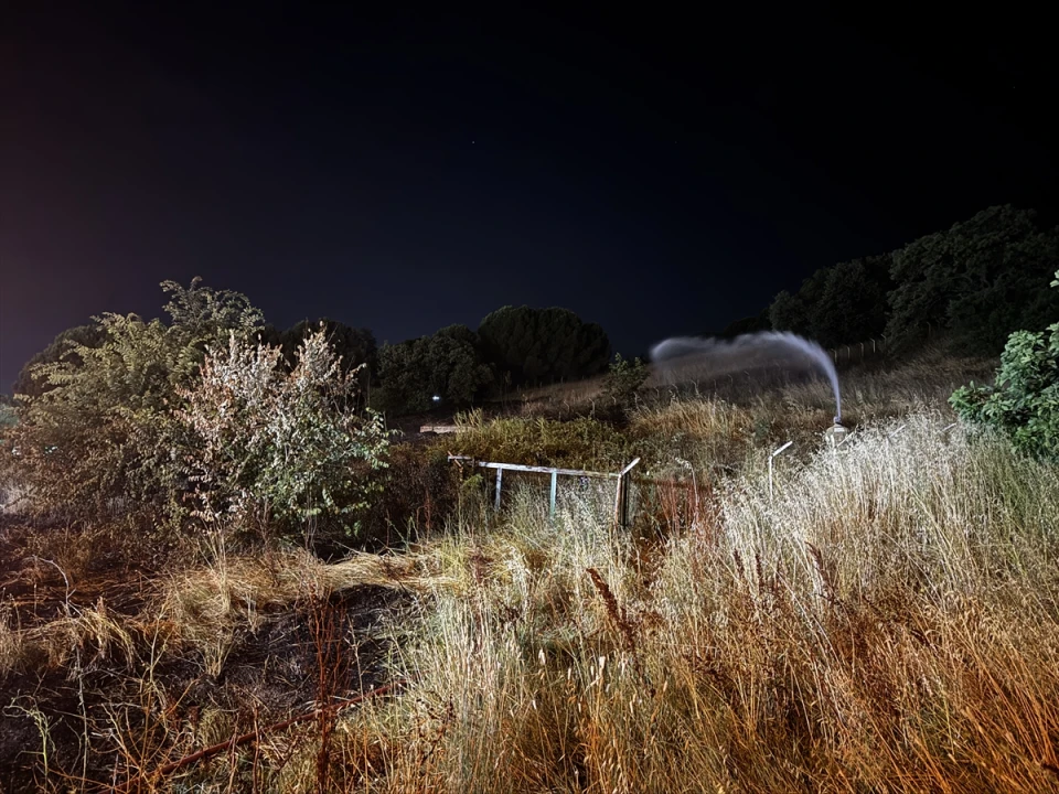 Bursa'da Otluk Alandaki Yangın Hızla Söndürüldü Düğün Telaşı Önledi
