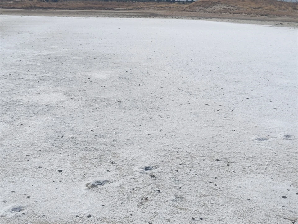 Edirne'de Sıcakların Etkisi: Taşaltı Gölü Tuzla Kaplandı