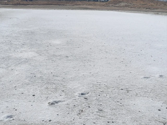 Edirne'de Sıcakların Etkisi: Taşaltı Gölü Tuzla Kaplandı