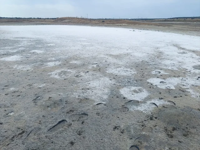 Edirne'de Sıcakların Etkisi: Taşaltı Gölü Tuzla Kaplandı