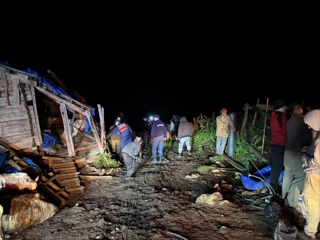 Artvin'de Çöken Ahırda 33 Büyükbaş Hayvan Başarıyla Kurtarıldı