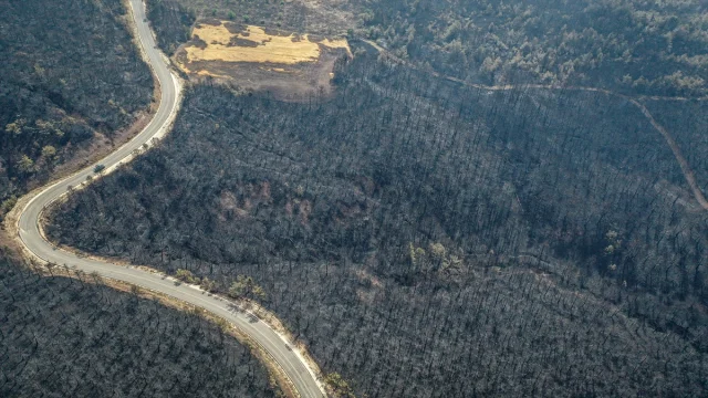 Bilecik'teki Orman Yangınlarının Yıkıcı Etkisi Dronlarla Gözler Önüne Serildi