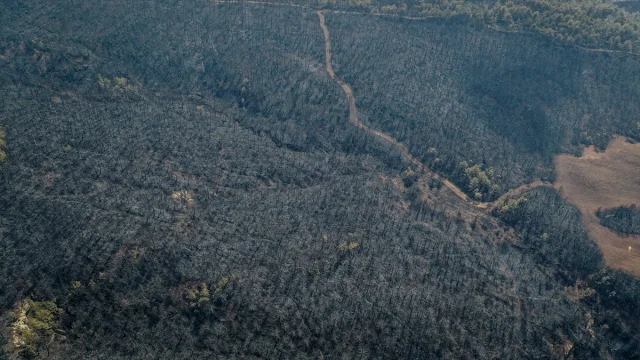 Bilecik'teki Orman Yangınlarının Yıkıcı Etkisi Dronlarla Gözler Önüne Serildi