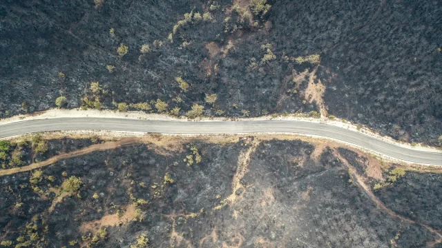 Bilecik'teki Orman Yangınlarının Yıkıcı Etkisi Dronlarla Gözler Önüne Serildi
