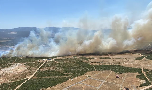 Aydın'ın Didim İlçesinde Makilik Alanda Yangın Alarmı