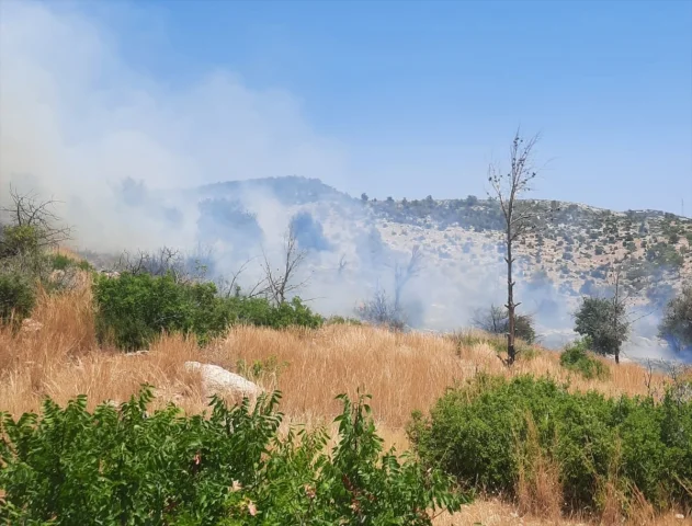 Mersin Silifke'de Çıkan Orman Yangınına Müdahale Sürüyor