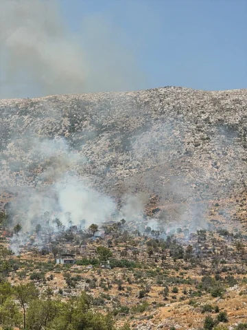 Mersin Silifke'de Çıkan Orman Yangınına Müdahale Sürüyor