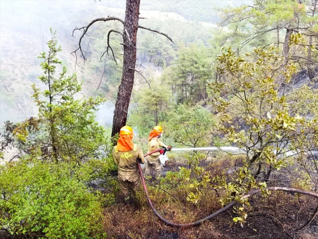 Sakarya ve Bilecik’te Orman Yangını Kontrol Altına Alınıyor
