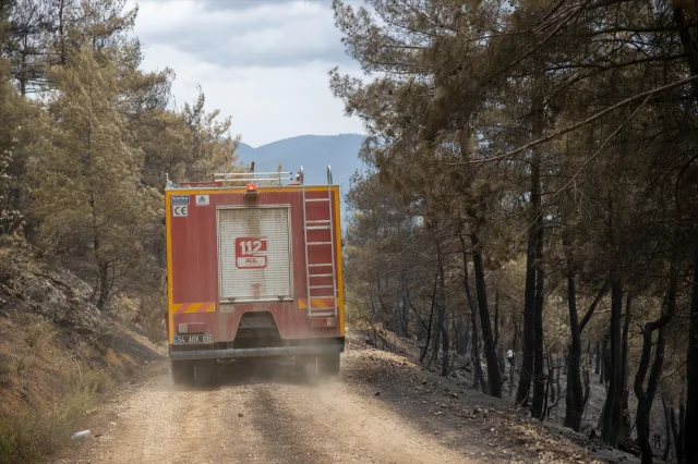 Sakarya ve Bilecik’te Orman Yangını Kontrol Altına Alınıyor
