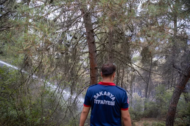 Sakarya ve Bilecik’te Orman Yangını Kontrol Altına Alınıyor