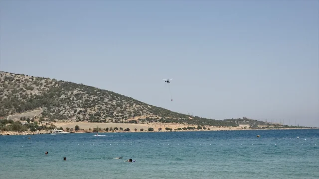Silifke'de Ağaçlık Alanda Yangın Tehlikesi Tatbikatlarla Kon...