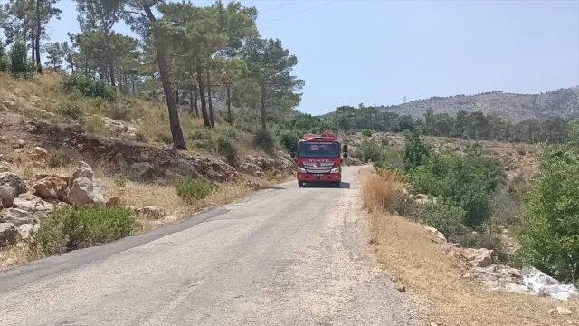 Silifke'de Ağaçlık Alanda Yangın Tehlikesi Tatbikatlarla Kontrol Altına Alındı