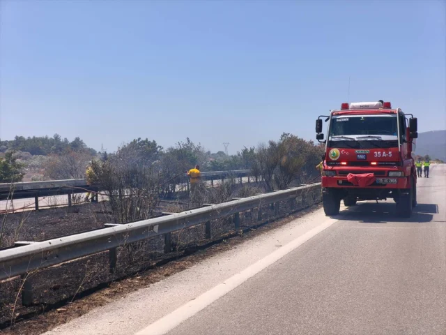 İzmir'de Zeytinlik Yangını Tehlikeyi Atlattı