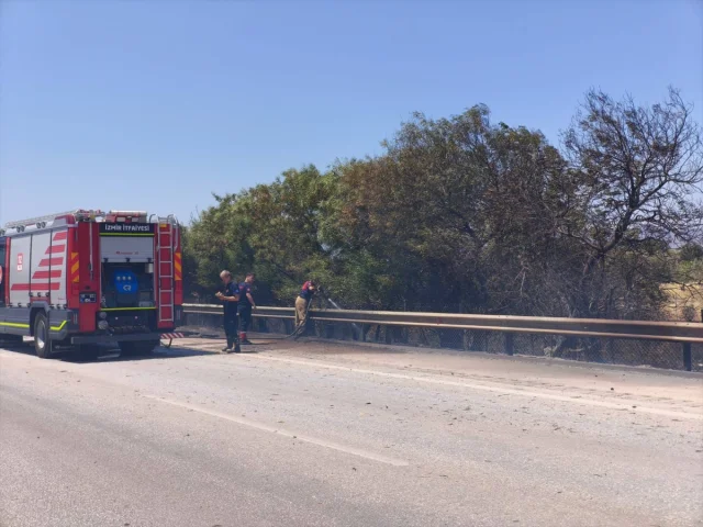 İzmir'de Zeytinlik Yangını Tehlikeyi Atlattı