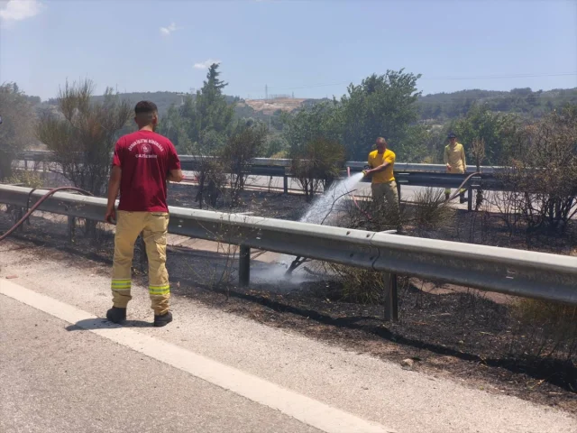 İzmir'de Zeytinlik Yangını Tehlikeyi Atlattı