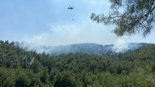 Osmaniye Ormanlarında Alevler Yükseliyor