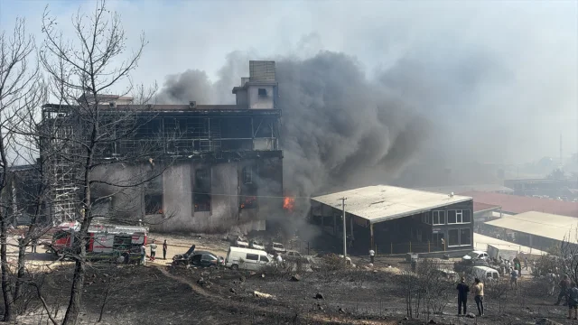 İzmir'deki Çöplük Yangını Orman ve Galerilere Sıçradı