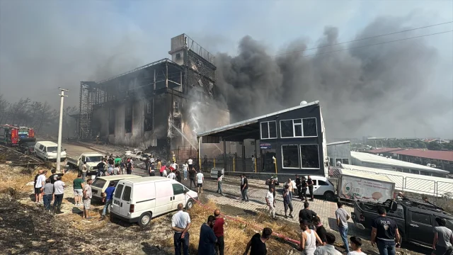İzmir'deki Çöplük Yangını Orman ve Galerilere Sıçradı