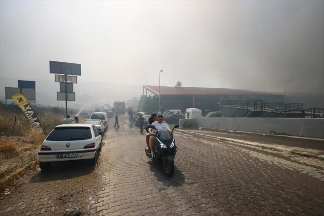 İzmir'deki Çöplük Yangını Orman ve Galerilere Sıçradı