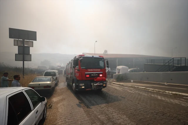 İzmir'deki Çöplük Yangını Orman ve Galerilere Sıçradı