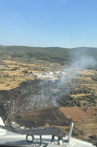 Bodrum'da Zirai Alanda Çıkan Yangın Kontrol Altına Alındı