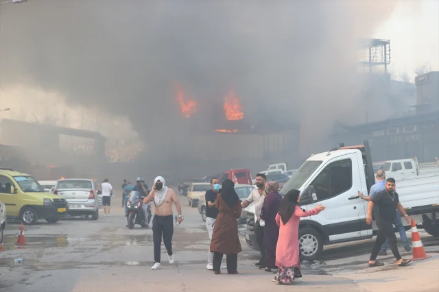 İzmir'deki Çöplük Yangını Orman ve Galerilere Sıçradı