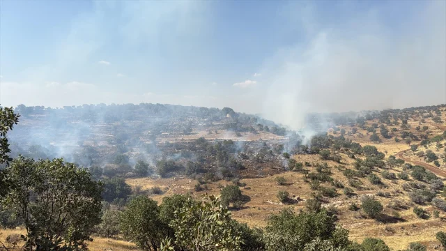 Mardin’de Çıkan Orman Yangını Başarıyla Söndürüldü