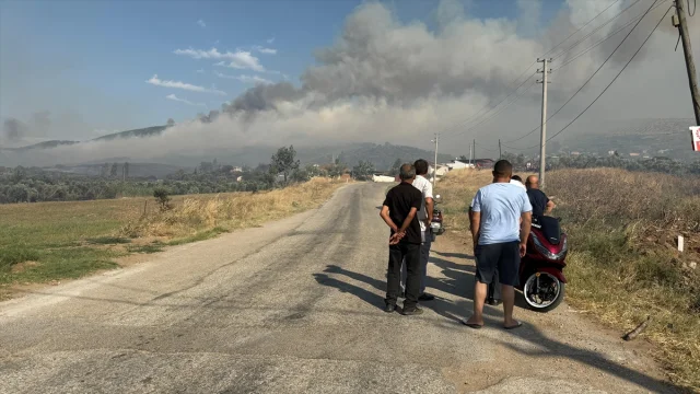 İzmir'in Tire İlçesinde Çıkan Yangın Tehlike Saçıyor