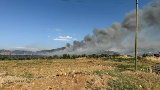 İzmir'in Tire İlçesinde Çıkan Yangın Tehlike Saçıyor
